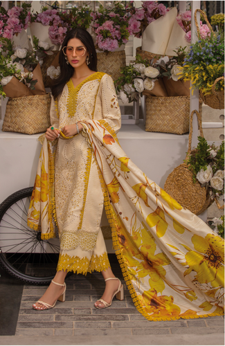 Pakistani clothes – The Majestic Boutique