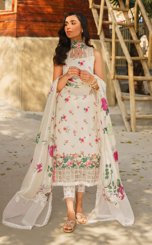 ASIFA NABEEL | MERAKI SUMMER 24 | ASTER