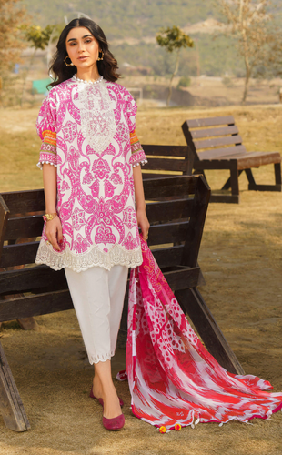 ASIFA NABEEL | MERAKI SUMMER 24 | FIA