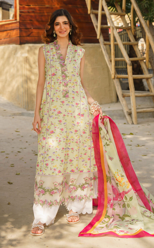 ASIFA NABEEL | MERAKI SUMMER 24 | CHINTS